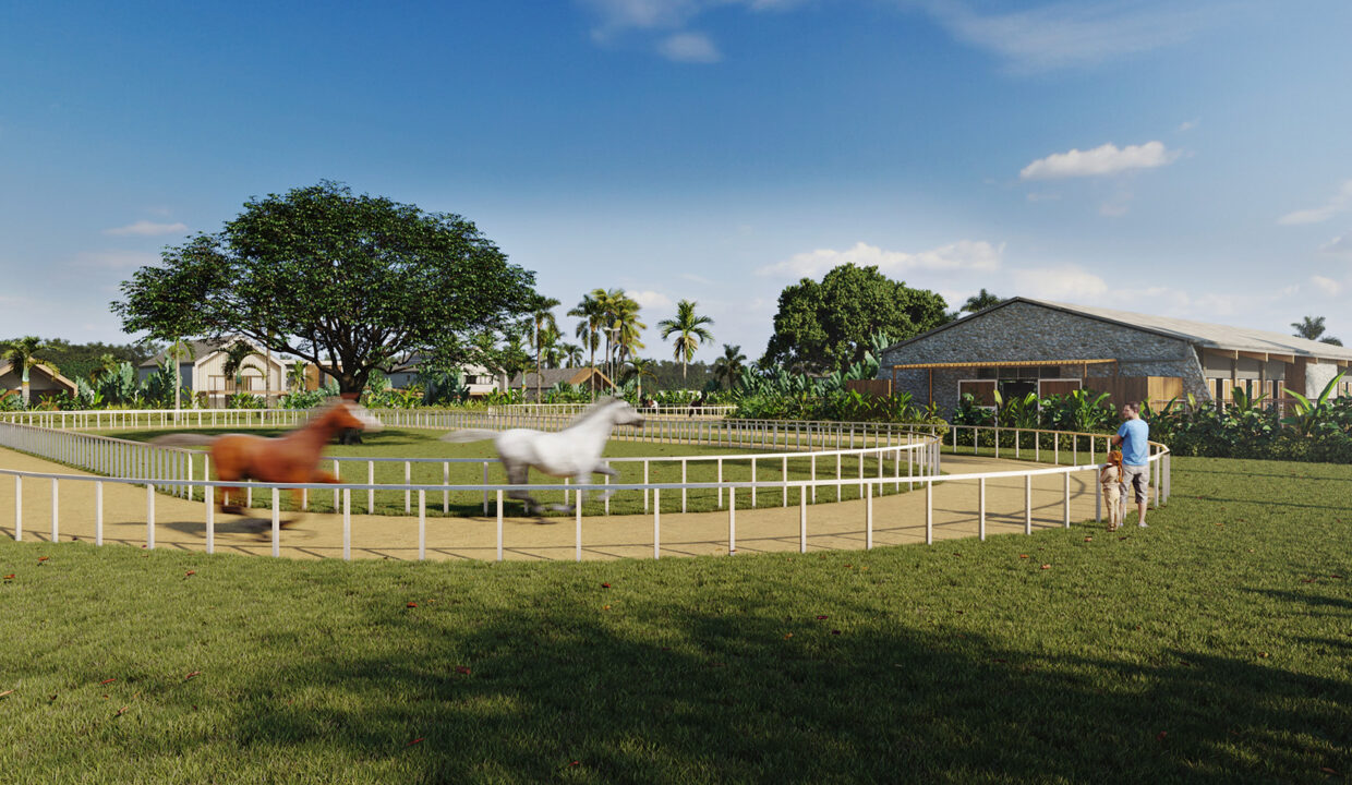 SB_MP_View04_Caballeriza01